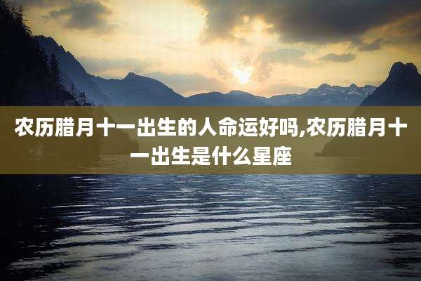 农历腊月十一出生的人命运好吗,农历腊月十一出生是什么星座