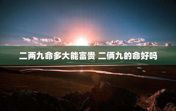 二两九命多大能富贵 二俩九的命好吗