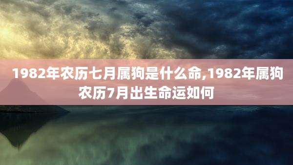 1982年农历七月属狗是什么命,1982年属狗农历7月出生命运如何