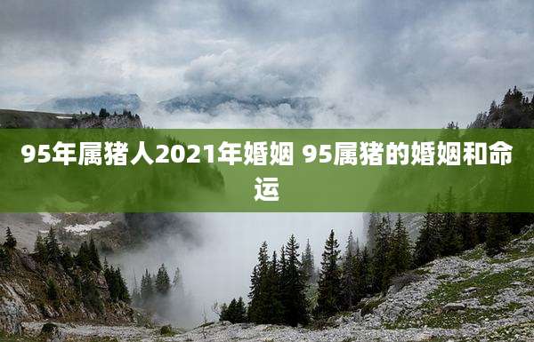 95年属猪人2021年婚姻 95属猪的婚姻和命运