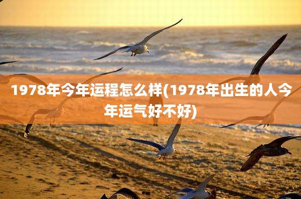 1978年今年运程怎么样(1978年出生的人今年运气好不好)