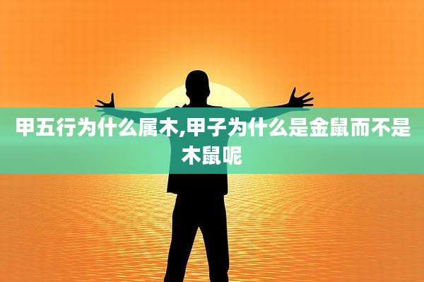 甲五行为什么属木,甲子为什么是金鼠而不是木鼠呢