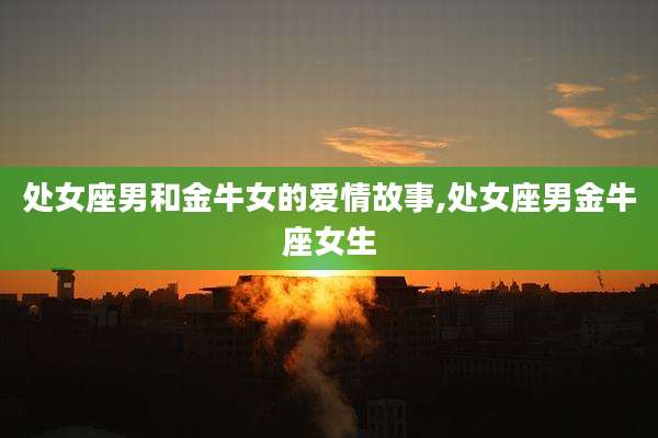 处女座男和金牛女的爱情故事,处女座男金牛座女生