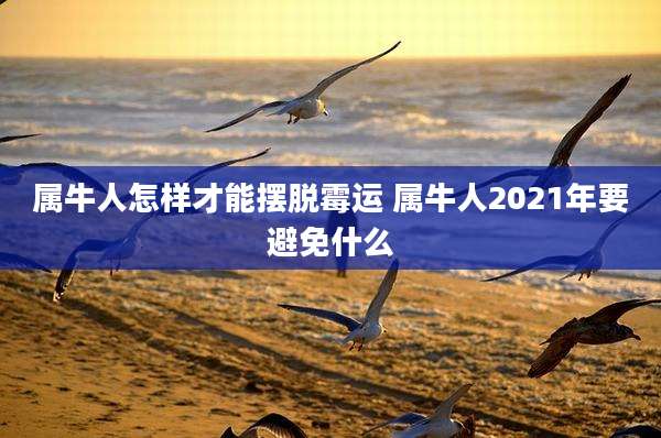 属牛人怎样才能摆脱霉运 属牛人2021年要避免什么
