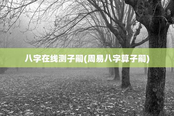 八字在线测子嗣(周易八字算子嗣)