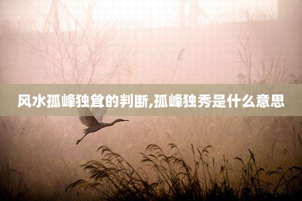 风水孤峰独耸的判断,孤峰独秀是什么意思