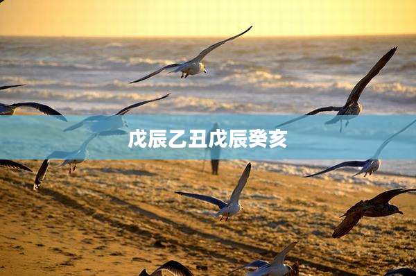 戊辰乙丑戊辰癸亥