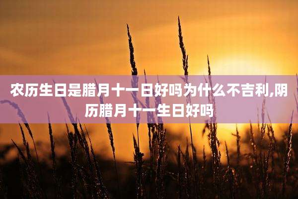 农历生日是腊月十一日好吗为什么不吉利,阴历腊月十一生日好吗