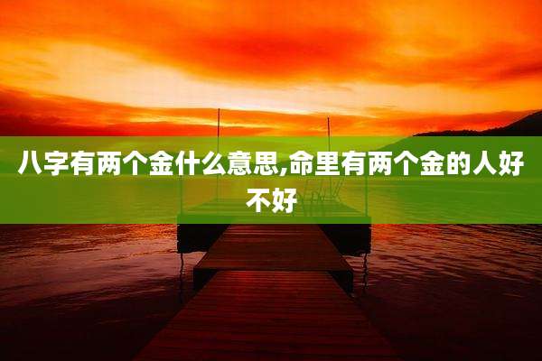 八字有两个金什么意思,命里有两个金的人好不好