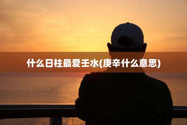 什么日柱最爱壬水(庚辛什么意思)