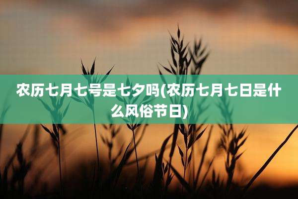 农历七月七号是七夕吗(农历七月七日是什么风俗节日)