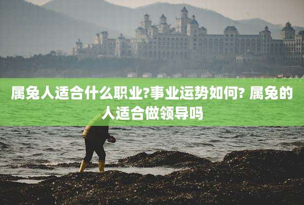 属兔人适合什么职业?事业运势如何? 属兔的人适合做领导吗