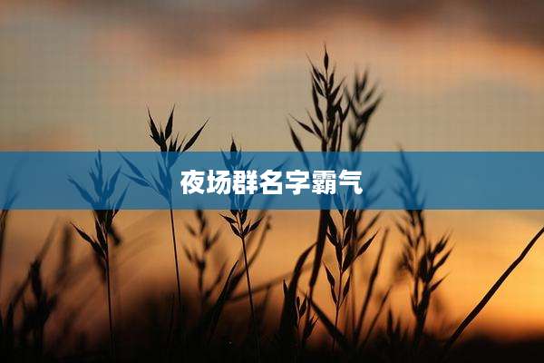 夜场群名字霸气