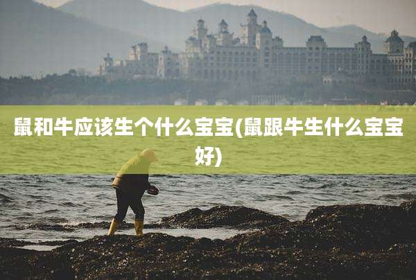 鼠和牛应该生个什么宝宝(鼠跟牛生什么宝宝好)