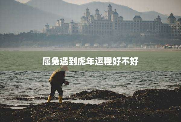 属兔遇到虎年运程好不好