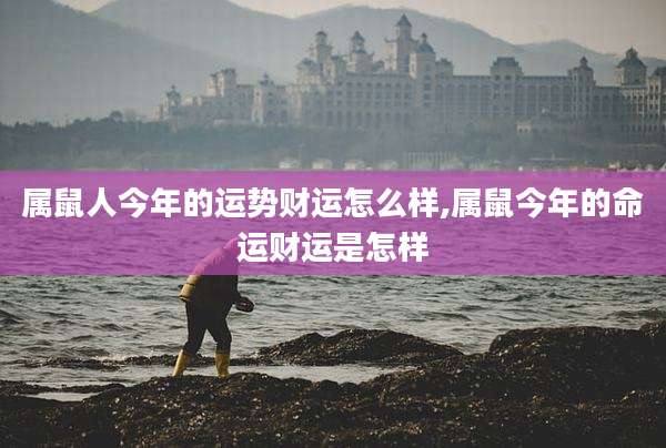 属鼠人今年的运势财运怎么样,属鼠今年的命运财运是怎样