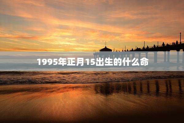 1995年正月15出生的什么命