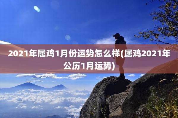 2021年属鸡1月份运势怎么样(属鸡2021年公历1月运势)