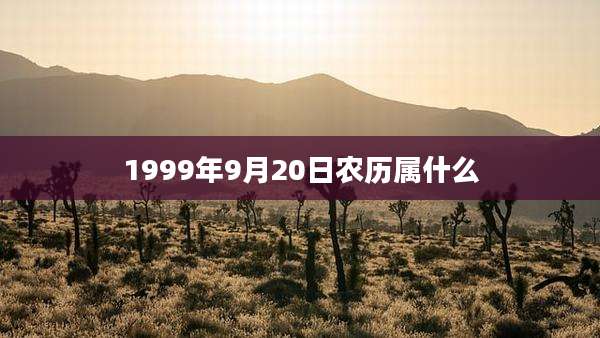 1999年9月20日农历属什么