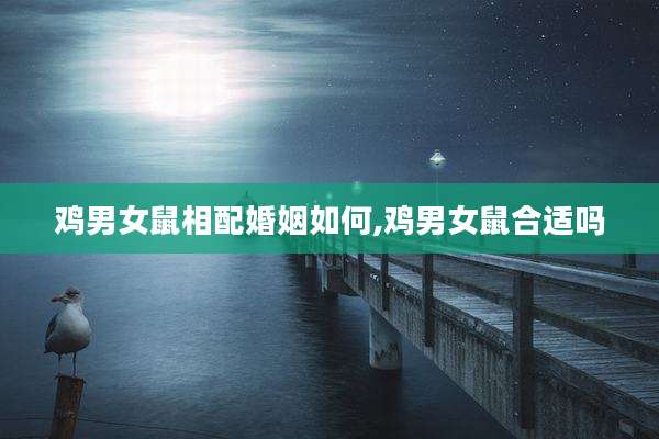 鸡男女鼠相配婚姻如何,鸡男女鼠合适吗