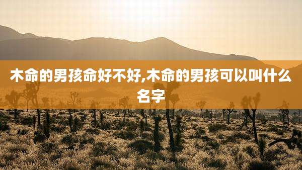 木命的男孩命好不好,木命的男孩可以叫什么名字