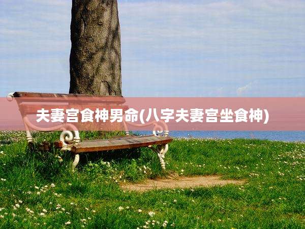 夫妻宫食神男命(八字夫妻宫坐食神)