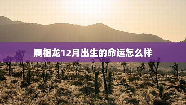 属相龙12月出生的命运怎么样