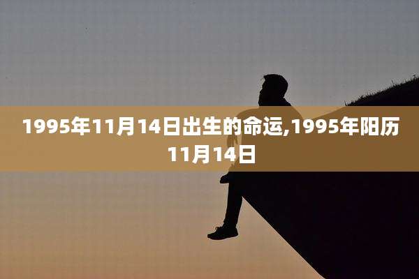 1995年11月14日出生的命运,1995年阳历11月14日