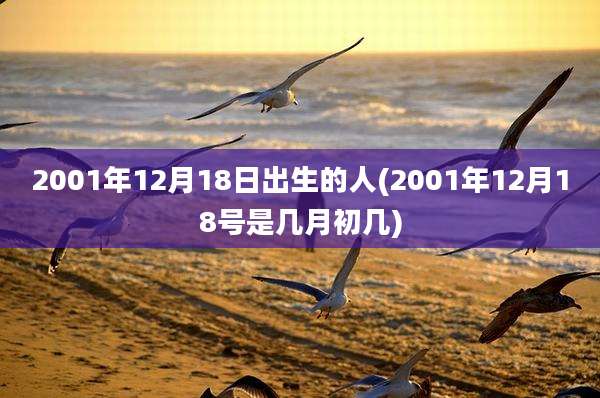2001年12月18日出生的人(2001年12月18号是几月初几)