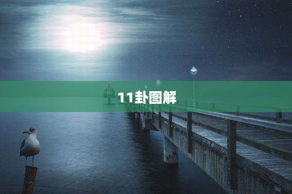 11卦图解