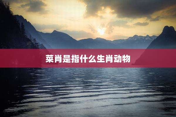 菜肖是指什么生肖动物