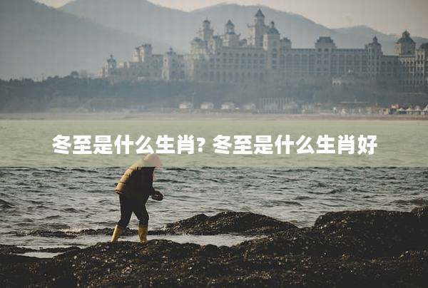 冬至是什么生肖? 冬至是什么生肖好