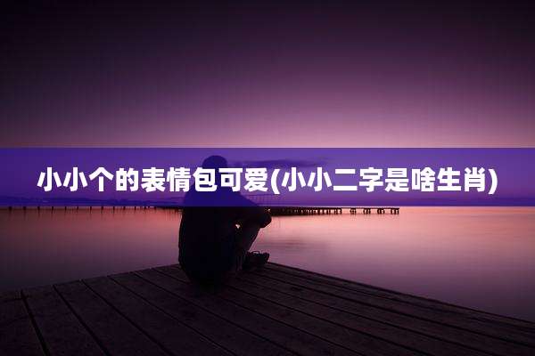 小小个的表情包可爱(小小二字是啥生肖)
