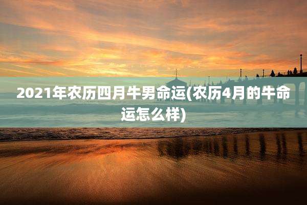 2021年农历四月牛男命运(农历4月的牛命运怎么样)
