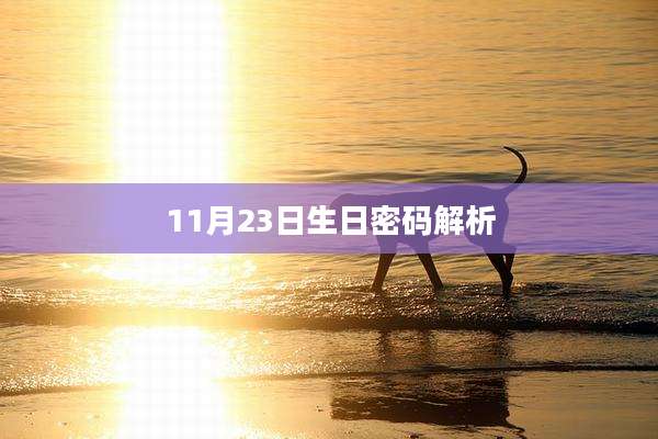 11月23日生日密码解析