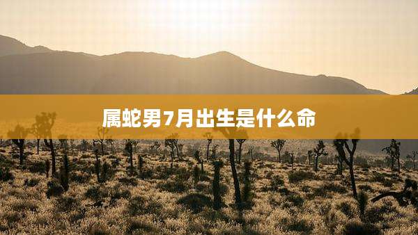 属蛇男7月出生是什么命