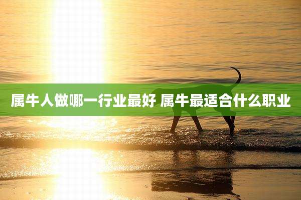 属牛人做哪一行业最好 属牛最适合什么职业