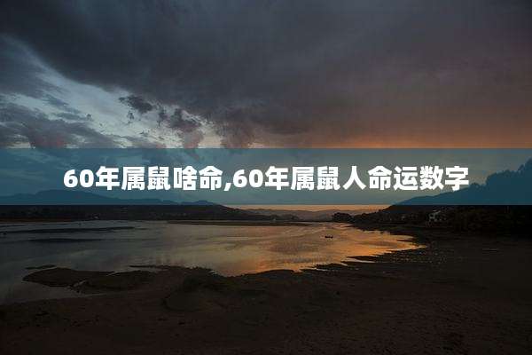60年属鼠啥命,60年属鼠人命运数字