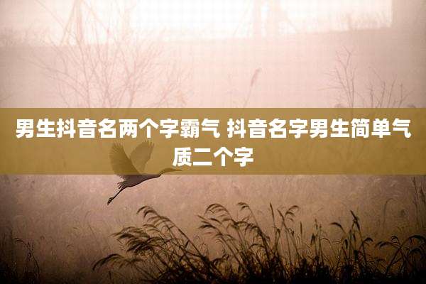男生抖音名两个字霸气 抖音名字男生简单气质二个字