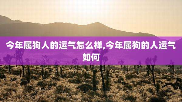 今年属狗人的运气怎么样,今年属狗的人运气如何