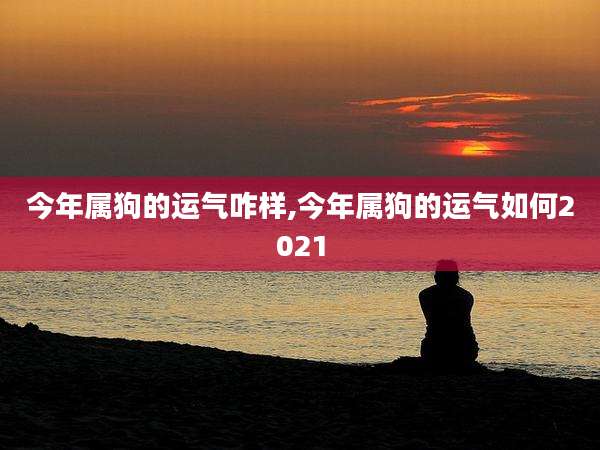 今年属狗的运气咋样,今年属狗的运气如何2021