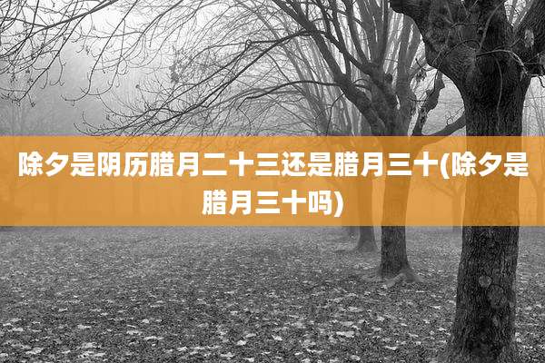除夕是阴历腊月二十三还是腊月三十(除夕是腊月三十吗)