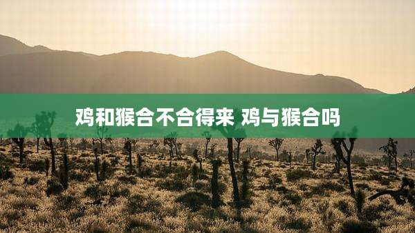鸡和猴合不合得来 鸡与猴合吗