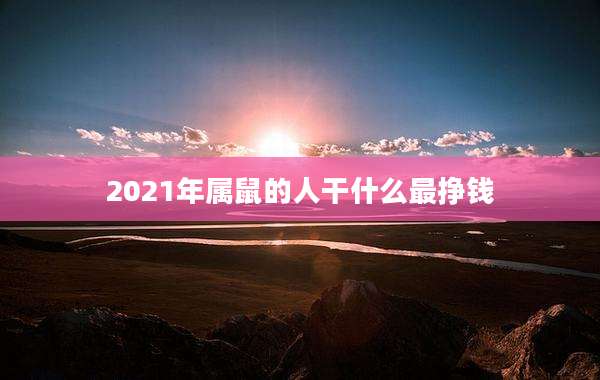 2021年属鼠的人干什么最挣钱