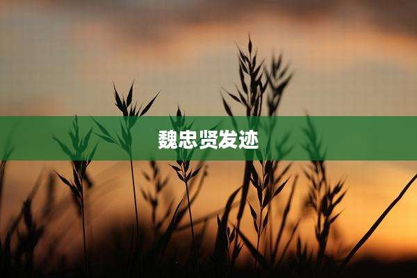 魏忠贤发迹