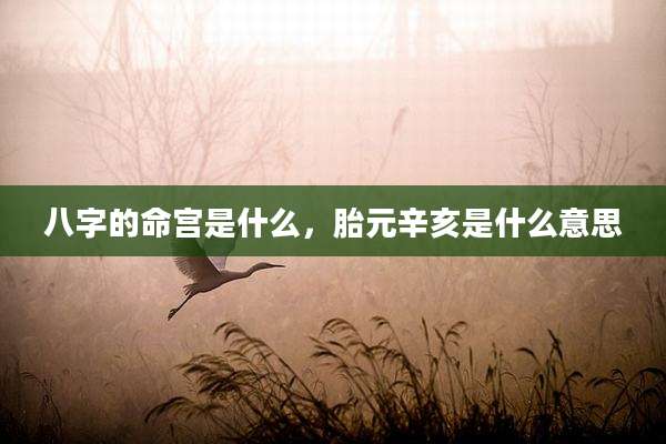 八字的命宫是什么,胎元辛亥是什么意思