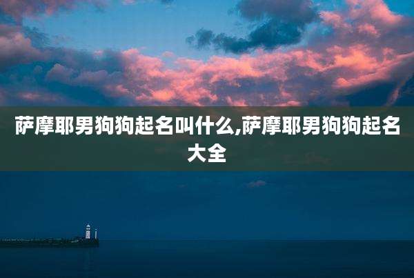 萨摩耶男狗狗起名叫什么,萨摩耶男狗狗起名大全