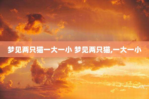 梦见两只猫一大一小 梦见两只猫,一大一小