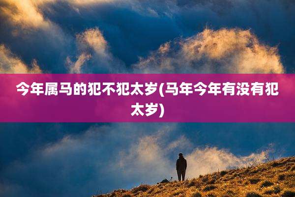 今年属马的犯不犯太岁(马年今年有没有犯太岁)