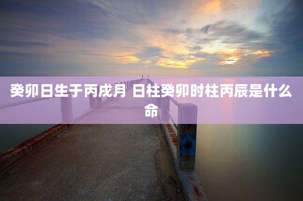 癸卯日生于丙戌月 日柱癸卯时柱丙辰是什么命